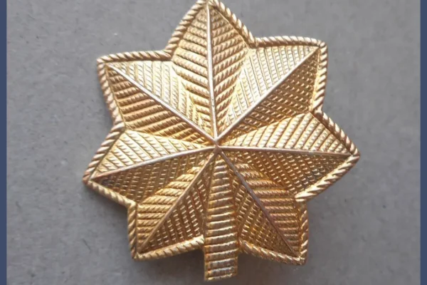 Gold-Filled-Oak-Leaf-US-Army-pic-1o-720x2_10.10-0da00f4d-3f4c6b