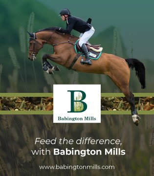 Babington Mills
