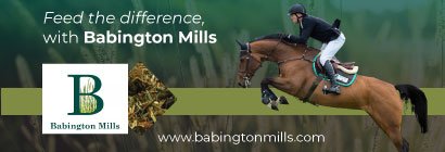 Babington Mills 2