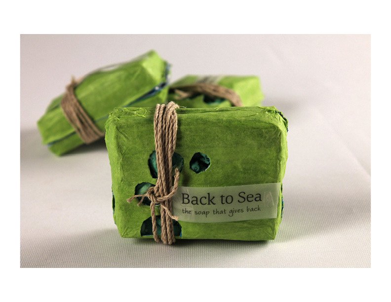 Back to Sea